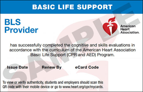 CPR Renewal Chicago AHA BLS CPR CPR Certification Chicago