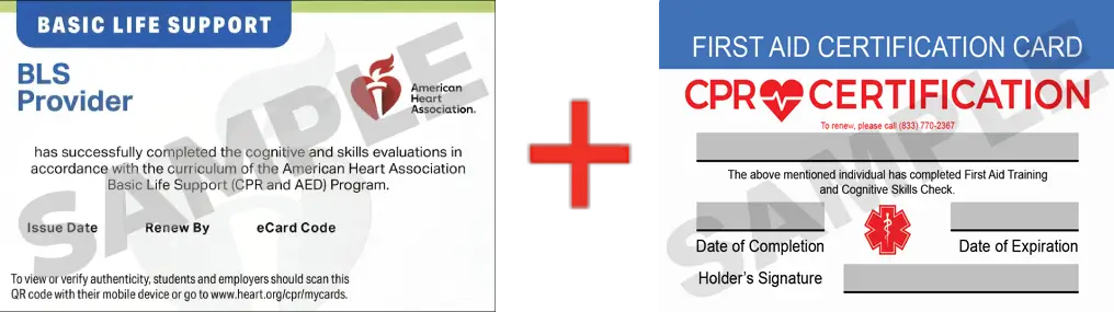 Sample American Heart Association AHA BLS CPR Card Certification and First Aid Certification Card from CPR Certification Chicago