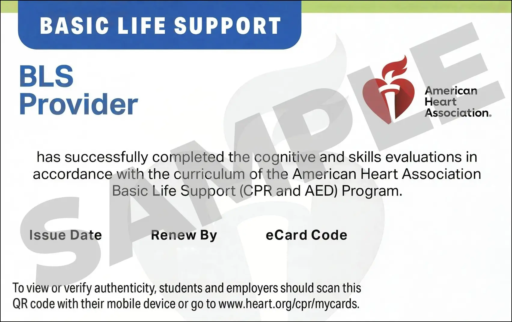 Sample American Heart Association AHA BLS CPR Card Certification from CPR Certification Chicago